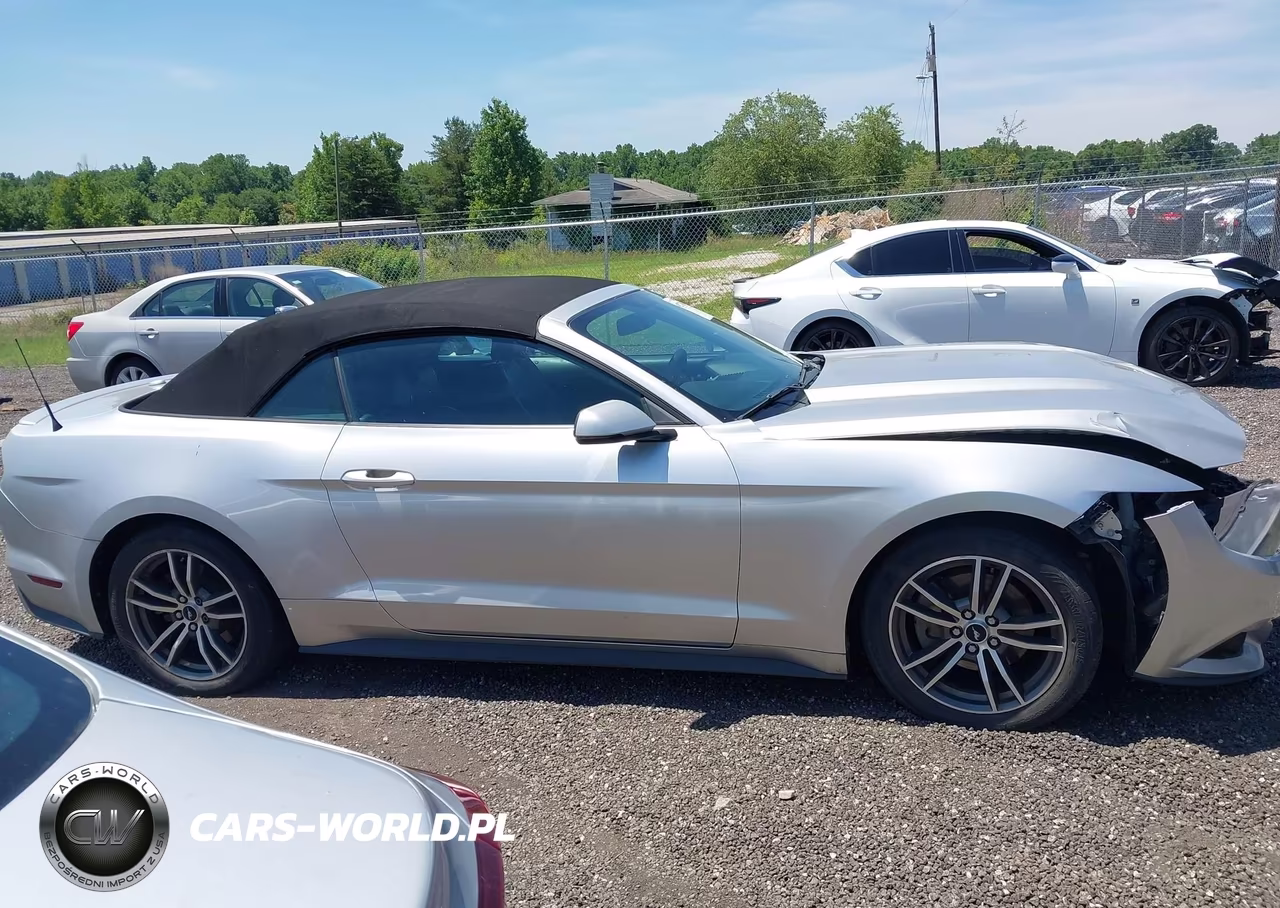 2016 Ford Mustang Ecoboost Premium VIN:1FATP8UH8G5292684 - 13