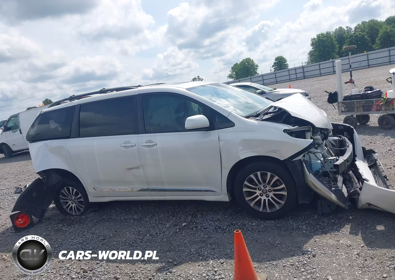 2019 Toyota Sienna Xle 8 Passenger VIN:5TDYZ3DC3KS989393 - 13