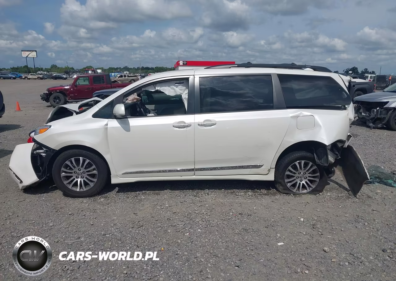 2019 Toyota Sienna Xle 8 Passenger VIN:5TDYZ3DC3KS989393 - 14