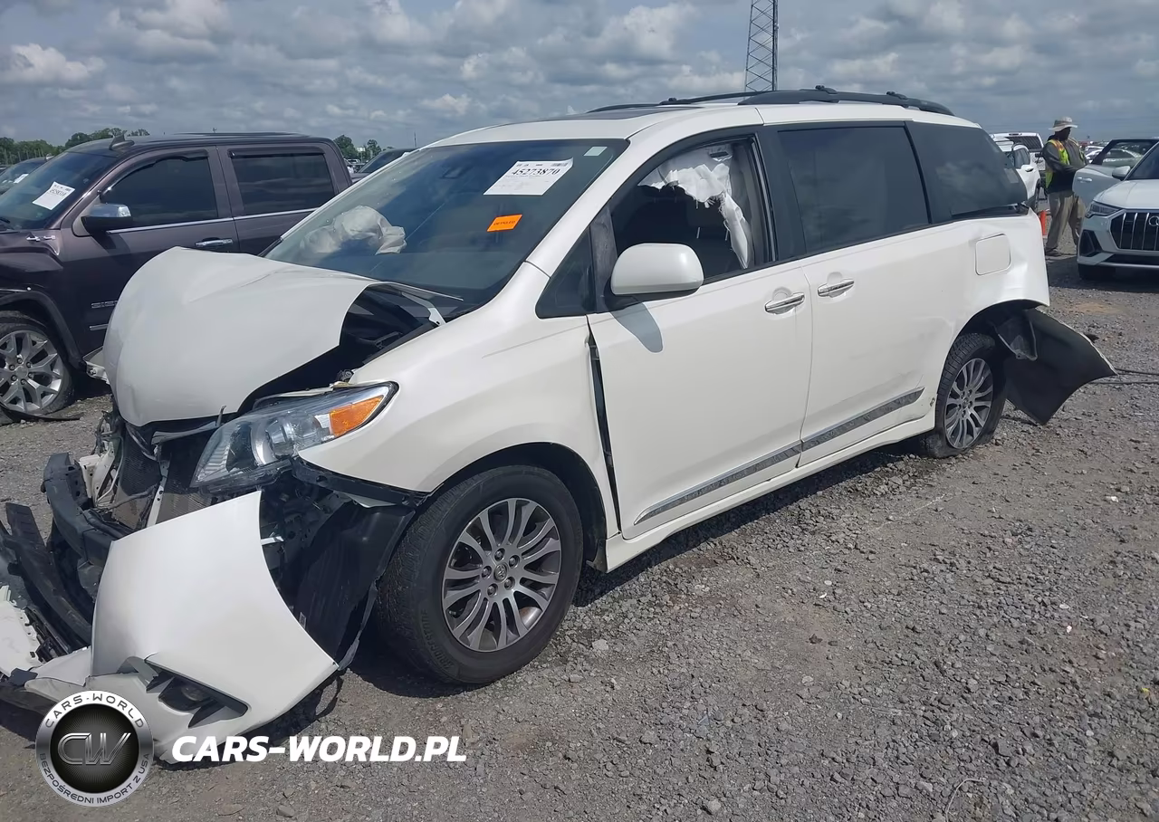 2019 Toyota Sienna Xle 8 Passenger VIN:5TDYZ3DC3KS989393 - 2