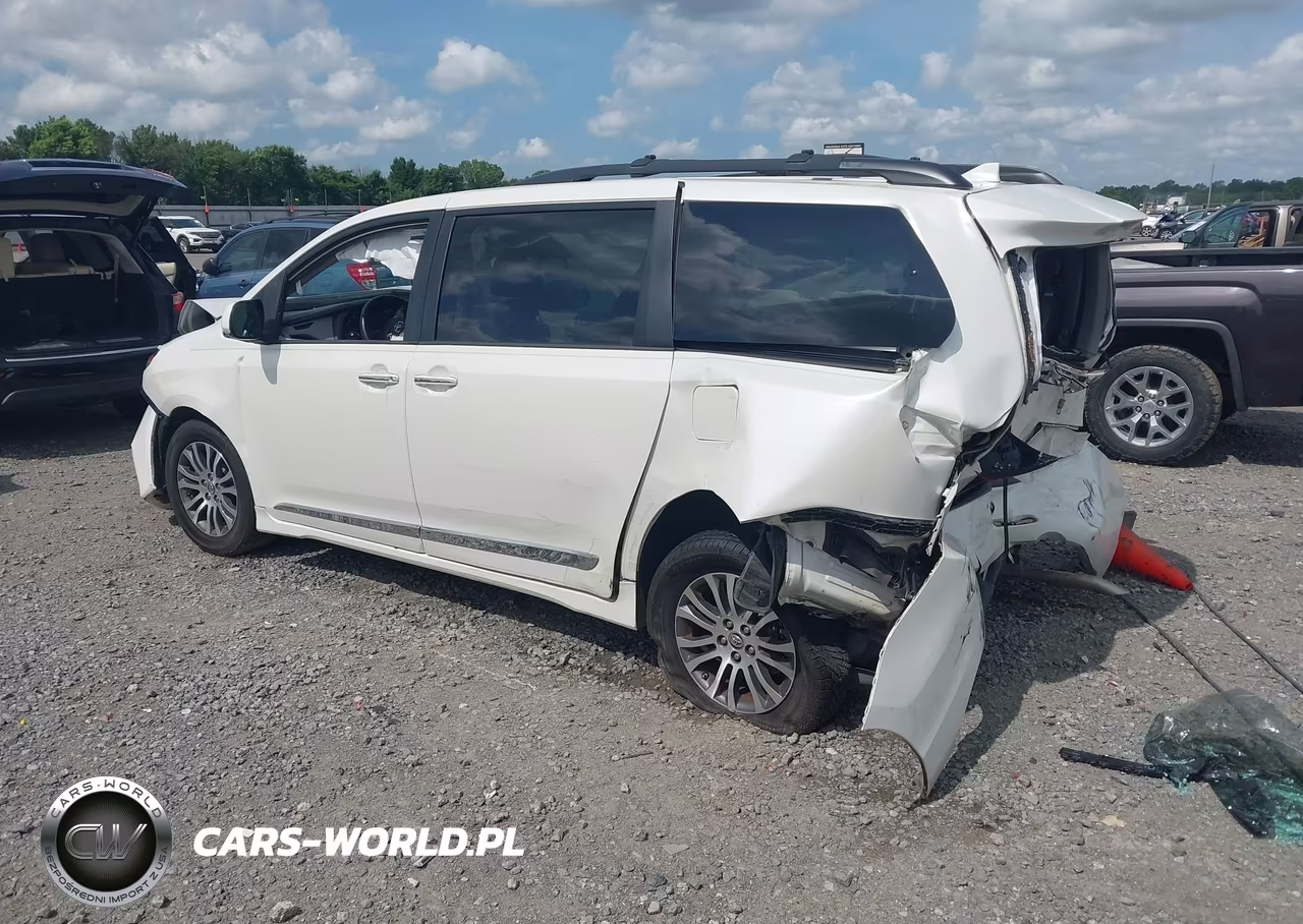 2019 Toyota Sienna Xle 8 Passenger VIN:5TDYZ3DC3KS989393 - 3