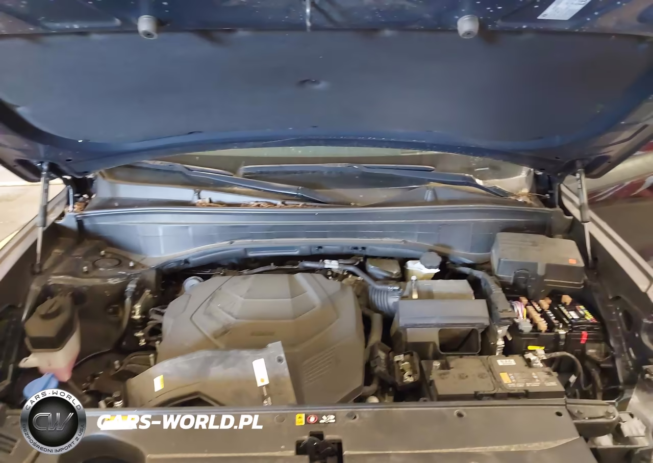 2024 Hyundai Palisade Calligraphy VIN:KM8R7DGE2RU731302 - 10