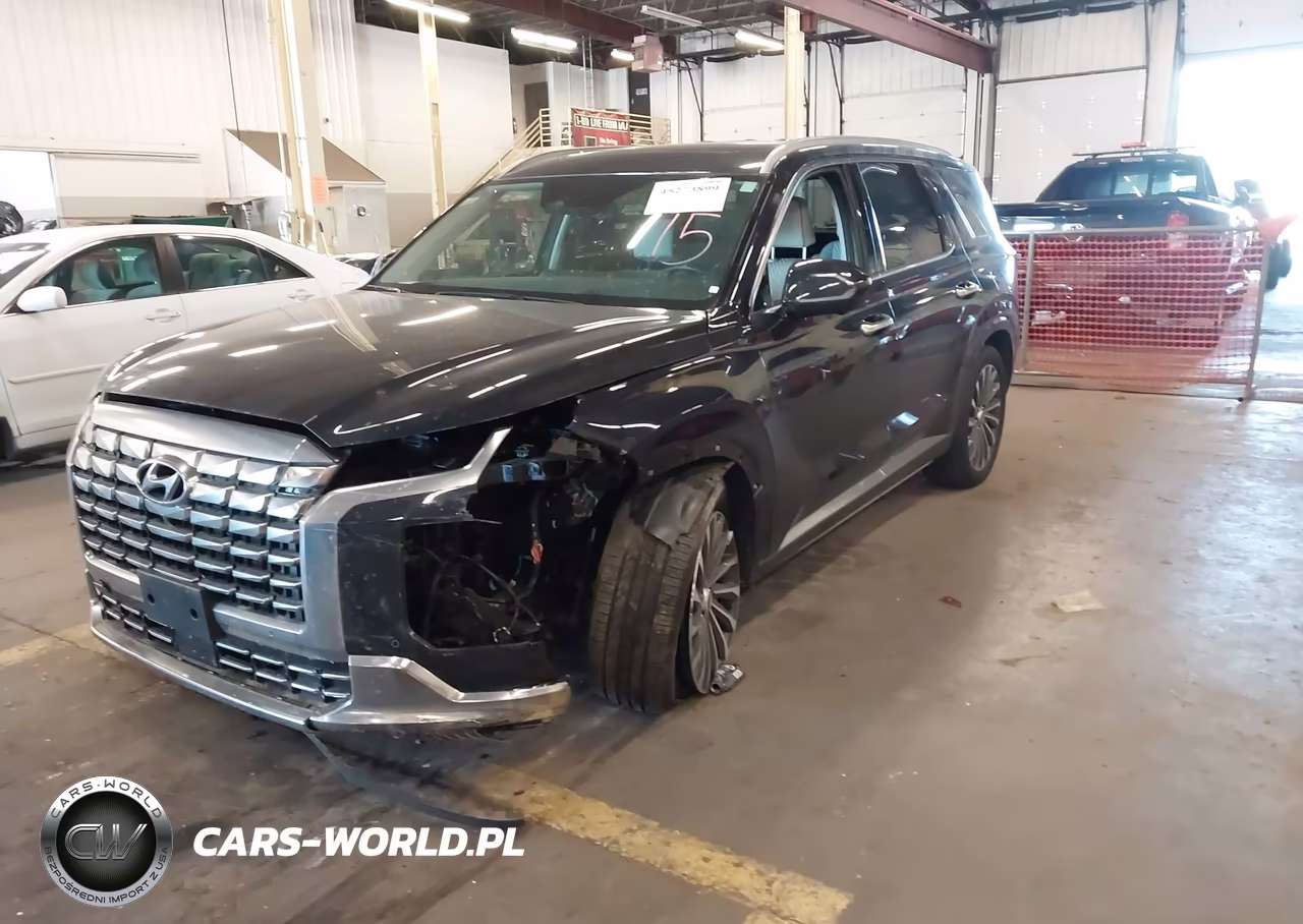 2024 Hyundai Palisade Calligraphy VIN:KM8R7DGE2RU731302 - 2
