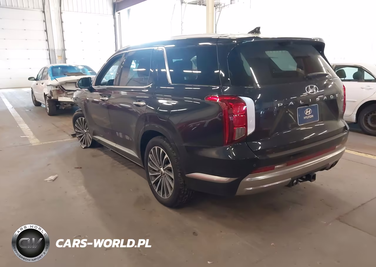 2024 Hyundai Palisade Calligraphy VIN:KM8R7DGE2RU731302 - 3