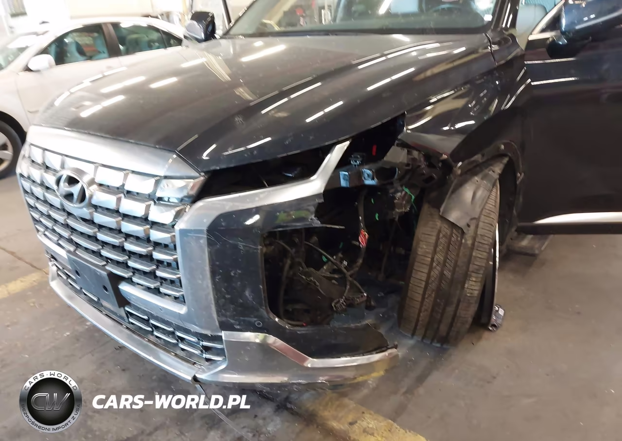 2024 Hyundai Palisade Calligraphy VIN:KM8R7DGE2RU731302 - 6