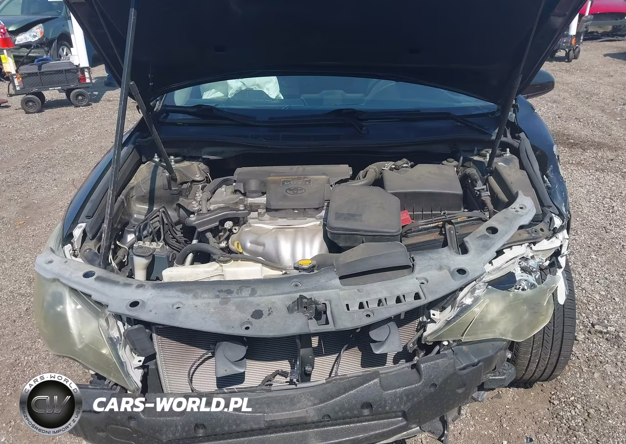 2014 Toyota Camry Se VIN:4T1BF1FK1EU819133 - 10