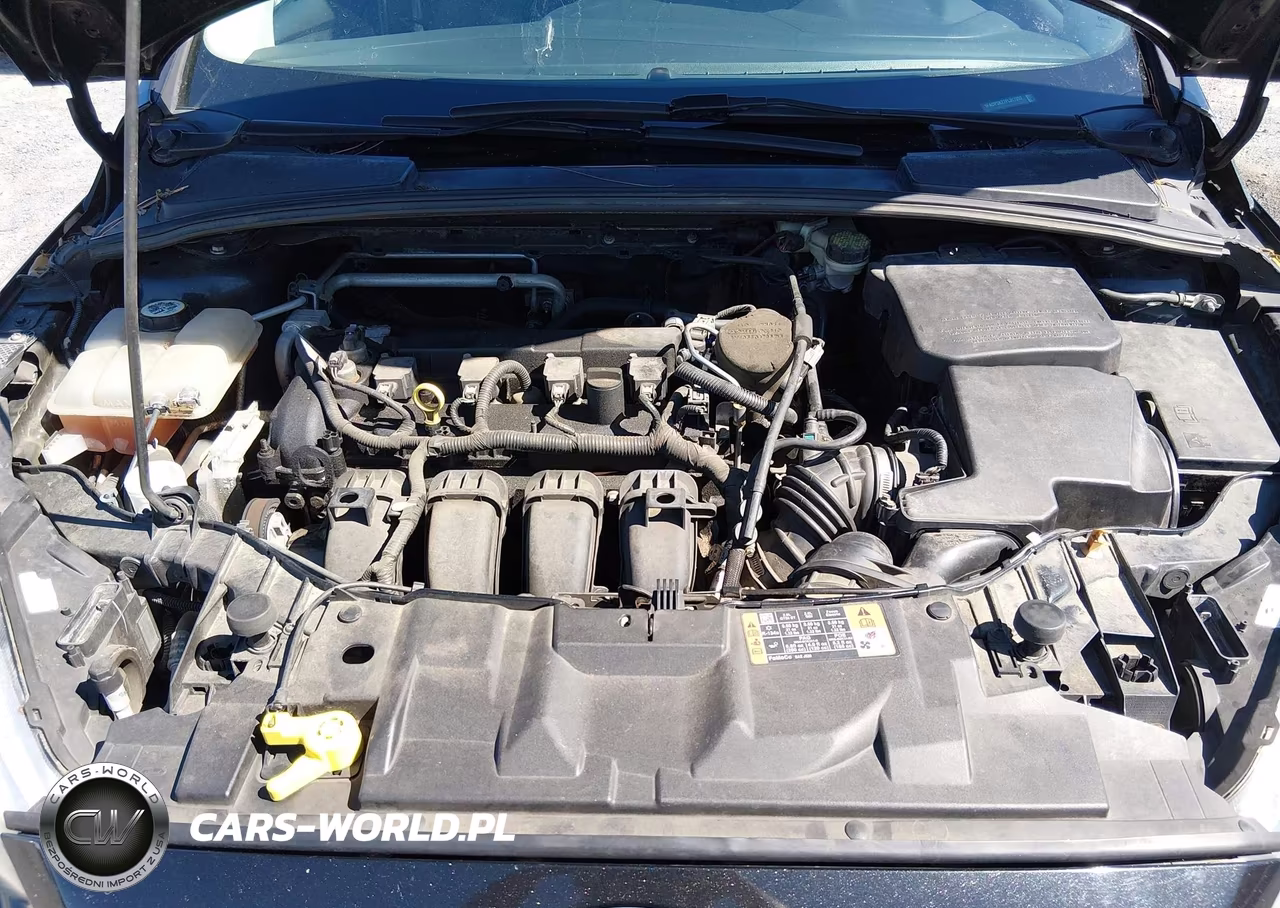 2015 Ford Focus Se VIN:1FADP3K27FL317252 - 10