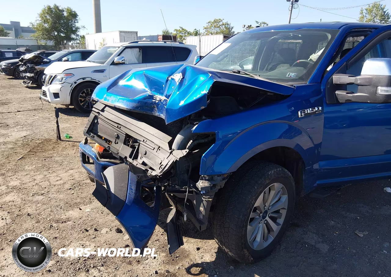 2018 Ford F150 Supercrew VIN:1FTEW1E59JFE20367 - 6