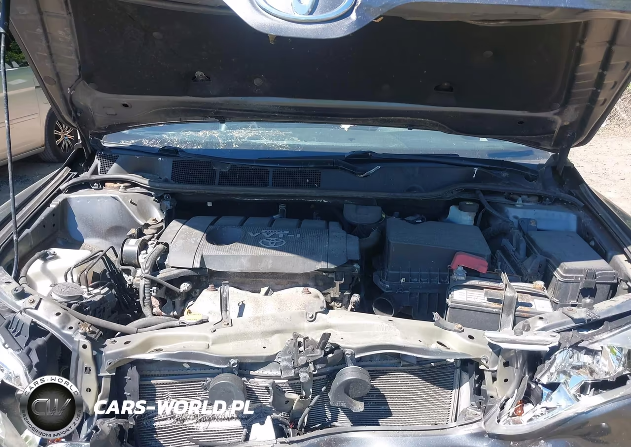 2009 Toyota Venza VIN:4T3ZE11A69U018808 - 10