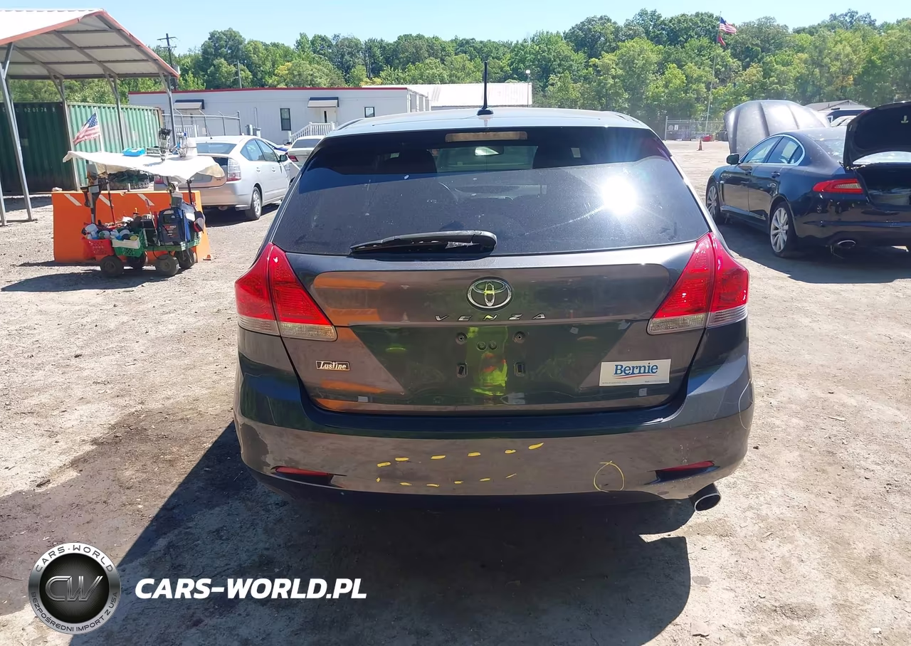 2009 Toyota Venza VIN:4T3ZE11A69U018808 - 16
