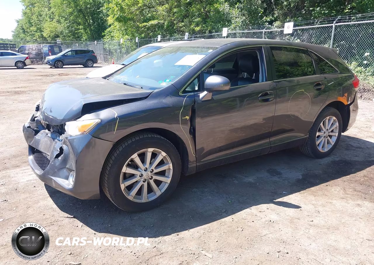 2009 Toyota Venza VIN:4T3ZE11A69U018808 - 2