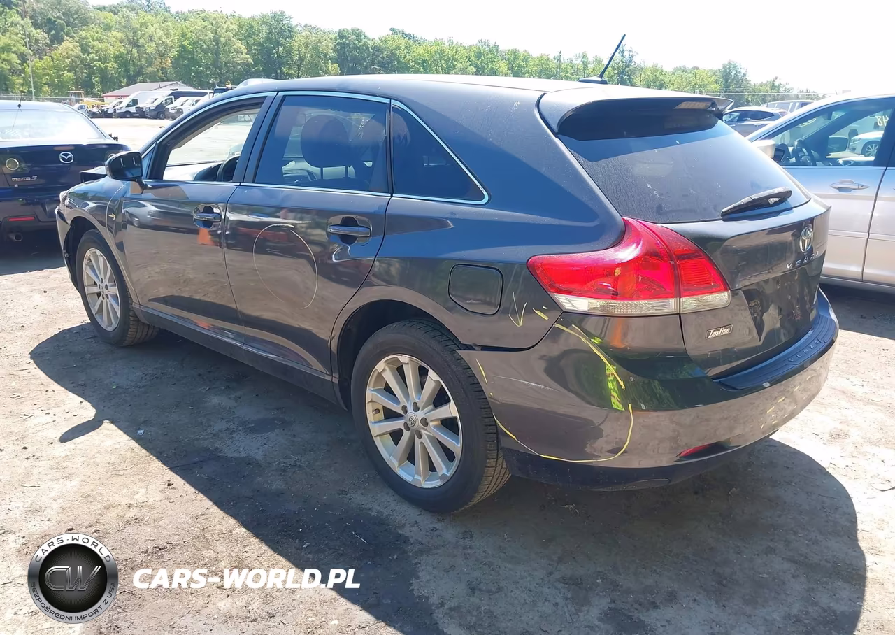 2009 Toyota Venza VIN:4T3ZE11A69U018808 - 3