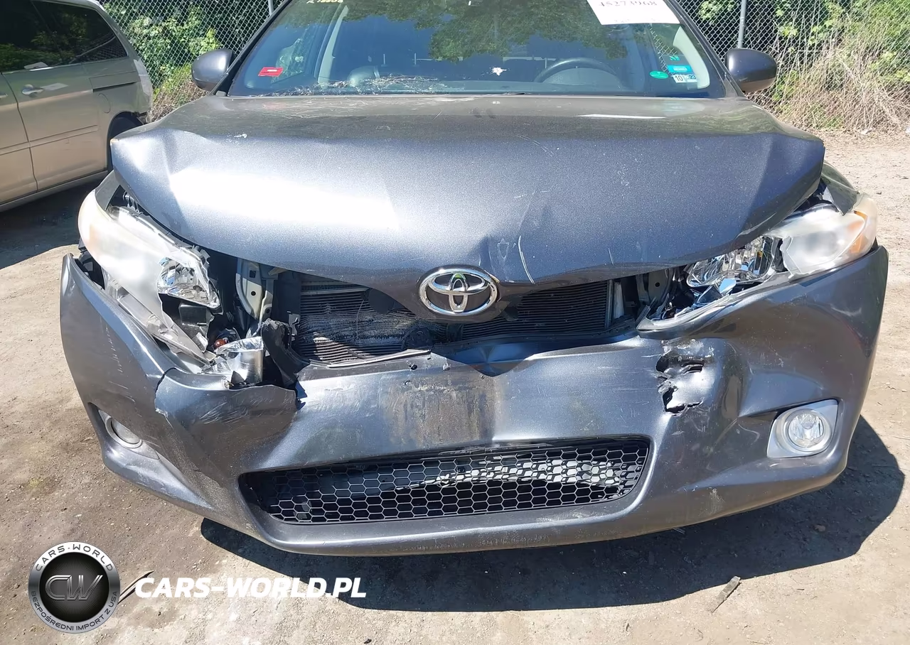 2009 Toyota Venza VIN:4T3ZE11A69U018808 - 6