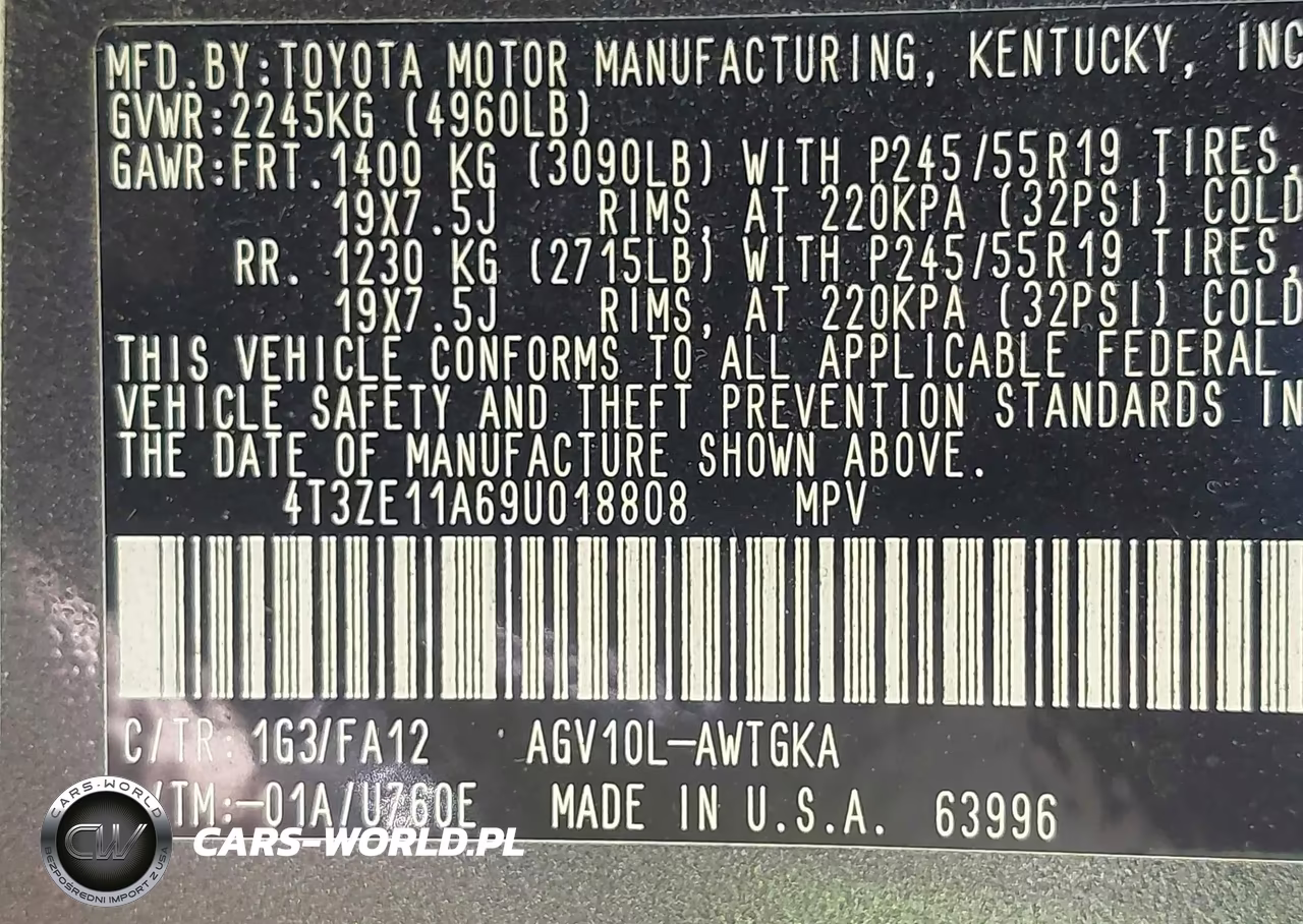 2009 Toyota Venza VIN:4T3ZE11A69U018808 - 9