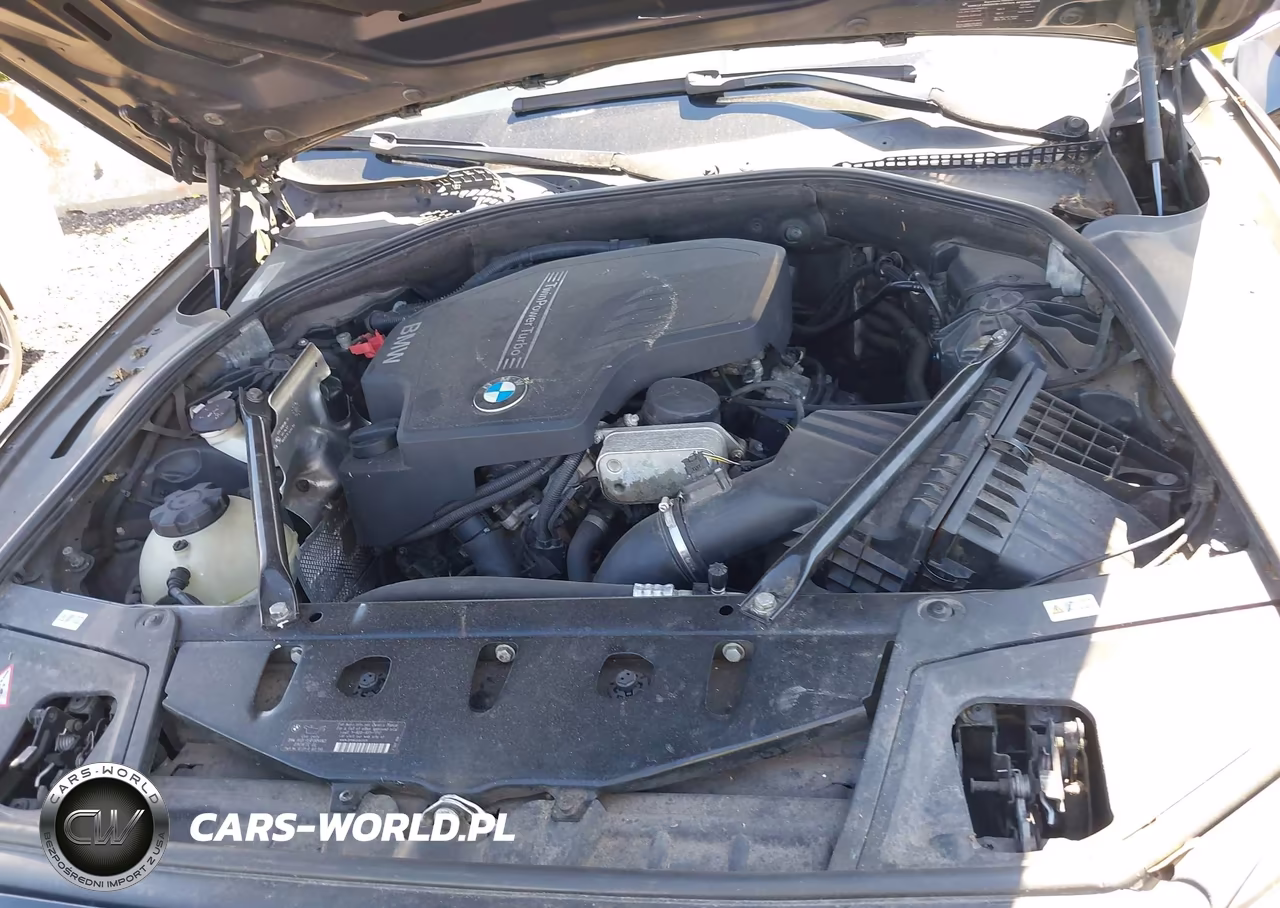2013 BMW 528I xDrive VIN:WBAXH5C58DD109409 - 10