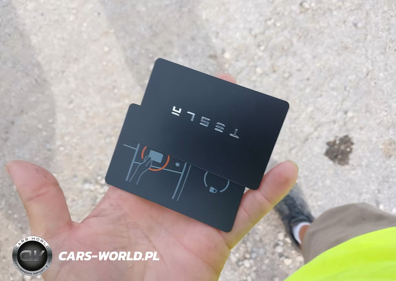 2023 Tesla Model 3 Rear-Wheel Drive VIN:5YJ3E1EA0PF603600 - 11