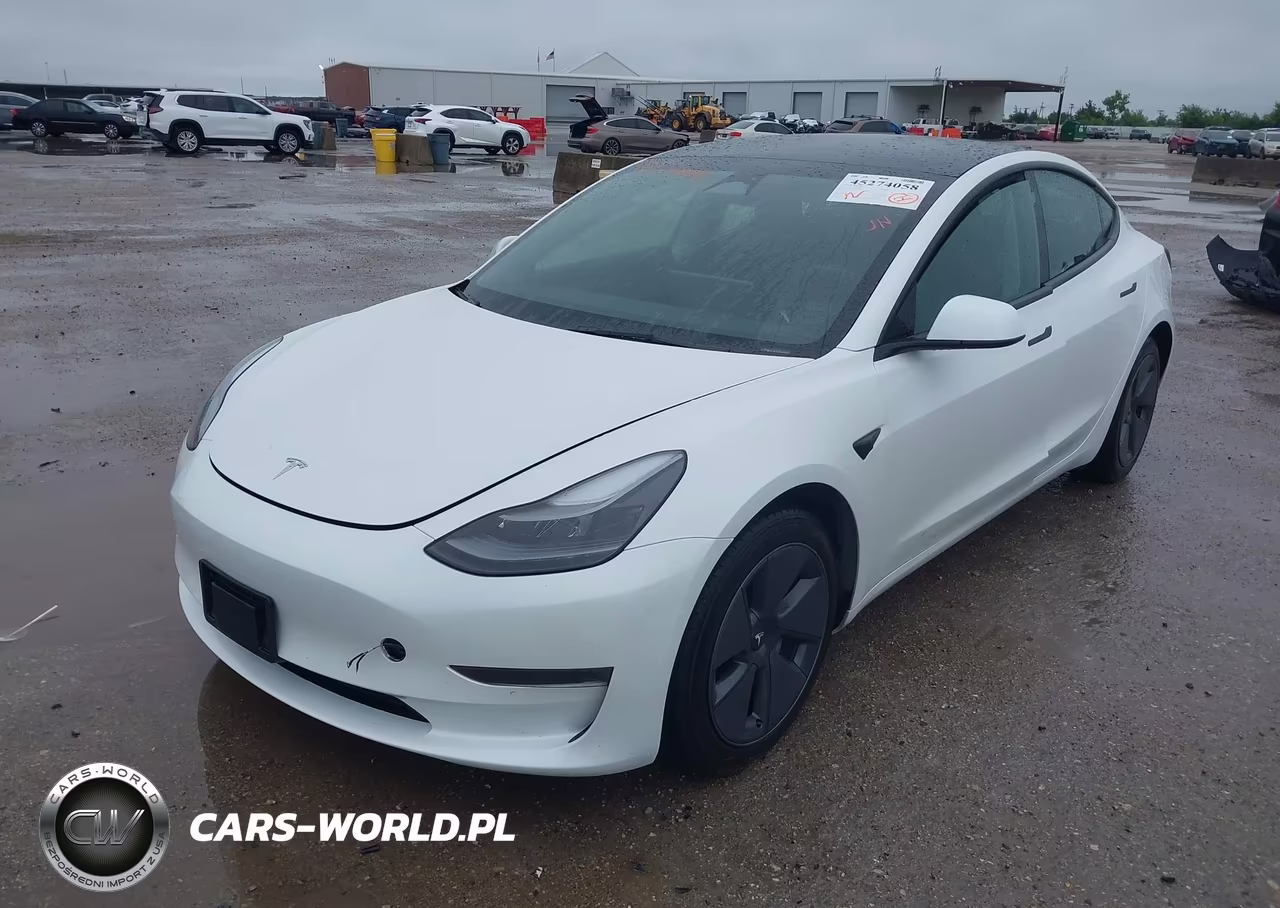 2023 Tesla Model 3 Rear-Wheel Drive VIN:5YJ3E1EA0PF603600 - 2