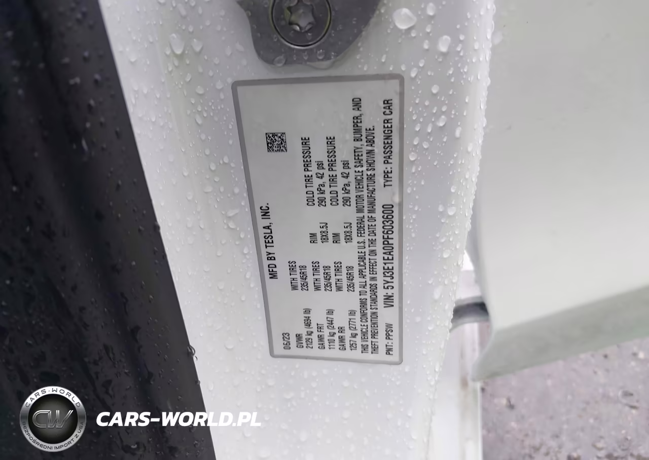 2023 Tesla Model 3 Rear-Wheel Drive VIN:5YJ3E1EA0PF603600 - 9