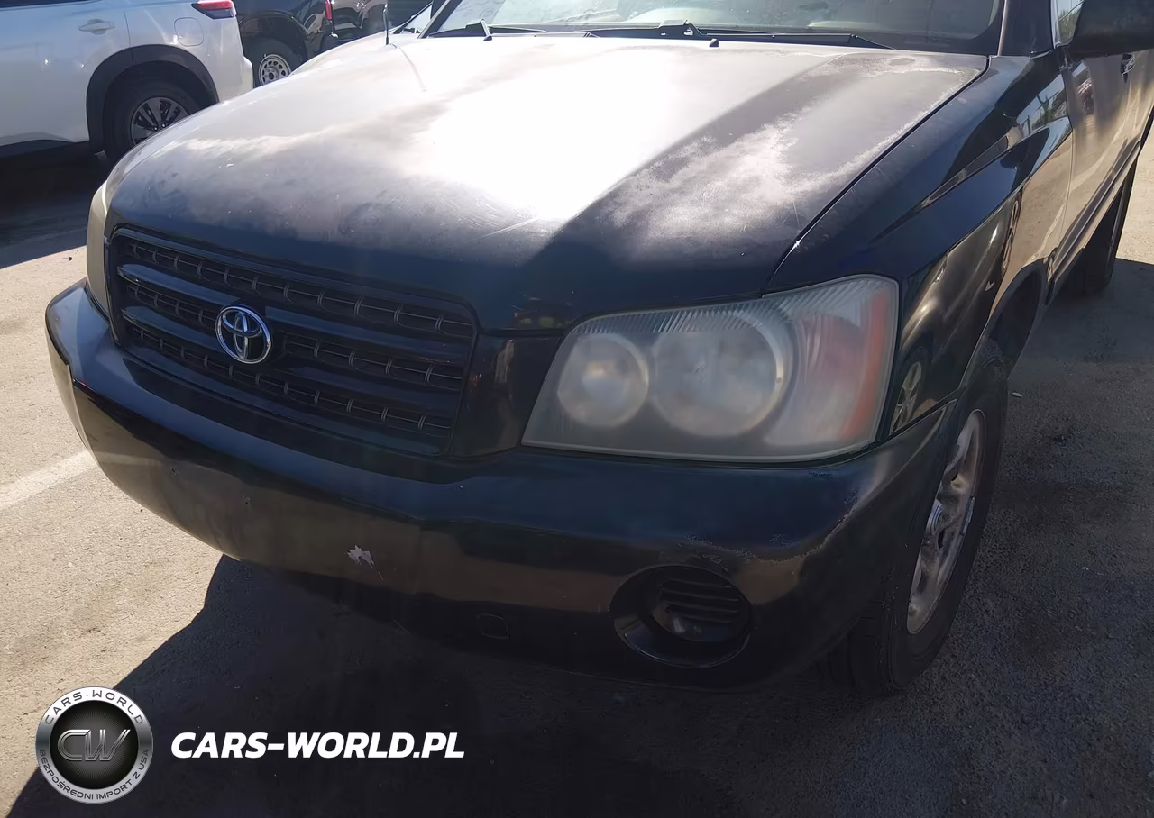 2003 Toyota Highlander V6 VIN:JTEGF21A830100816 - 6