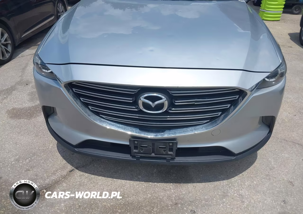2016 Mazda Cx-9 Touring VIN:JM3TCACY7G0124229 - 6