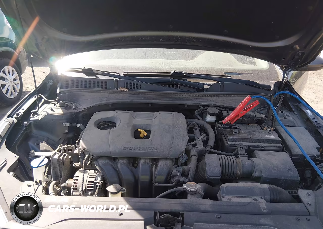 2019 Kia Forte Fe VIN:3KPF24AD7KE119784 - 10