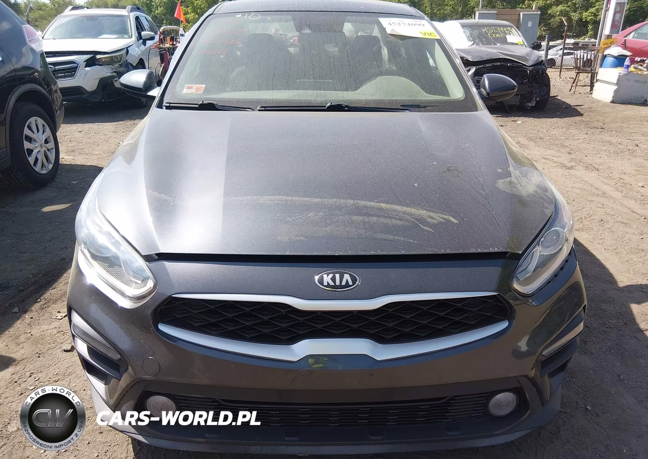 2019 Kia Forte Fe VIN:3KPF24AD7KE119784 - 12