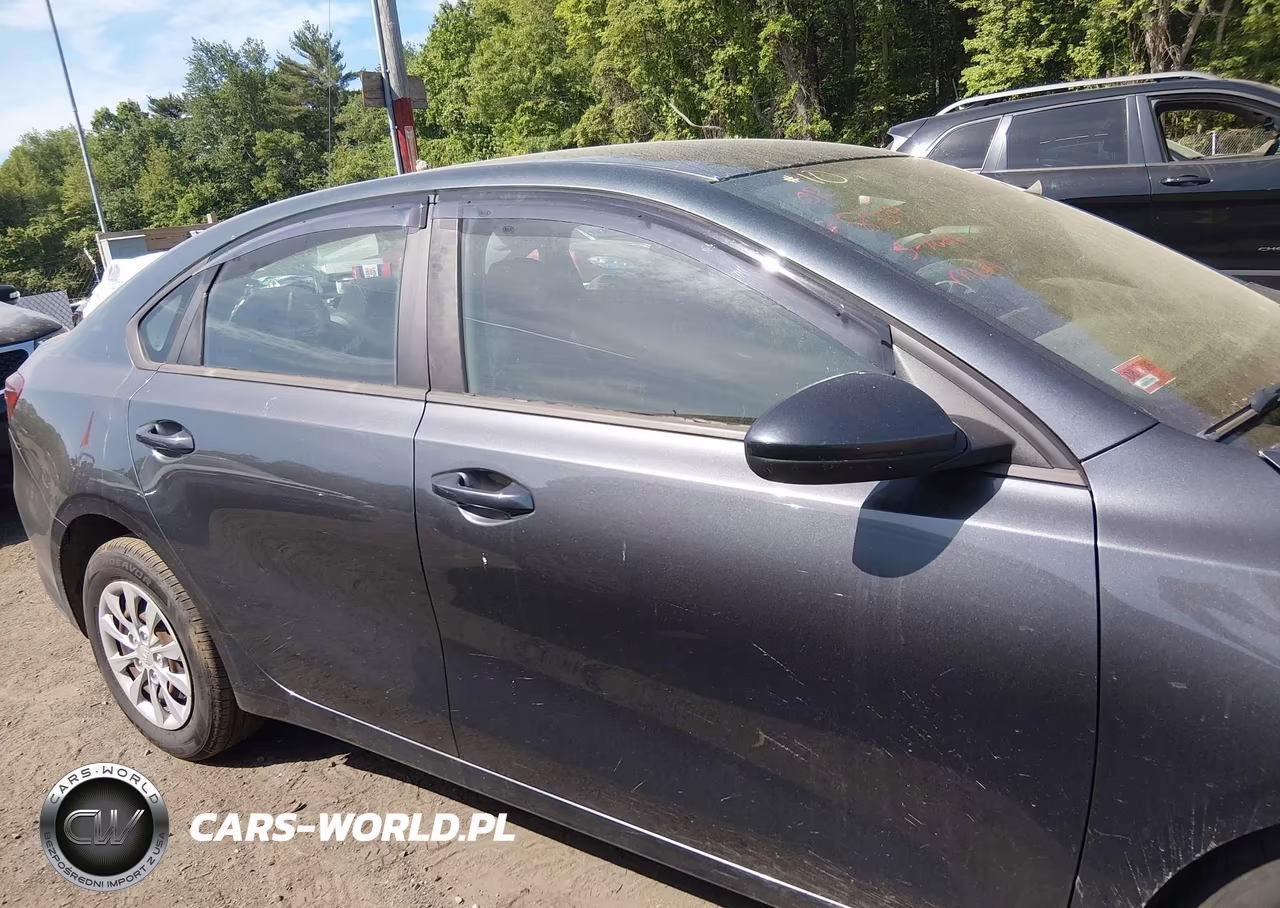 2019 Kia Forte Fe VIN:3KPF24AD7KE119784 - 13