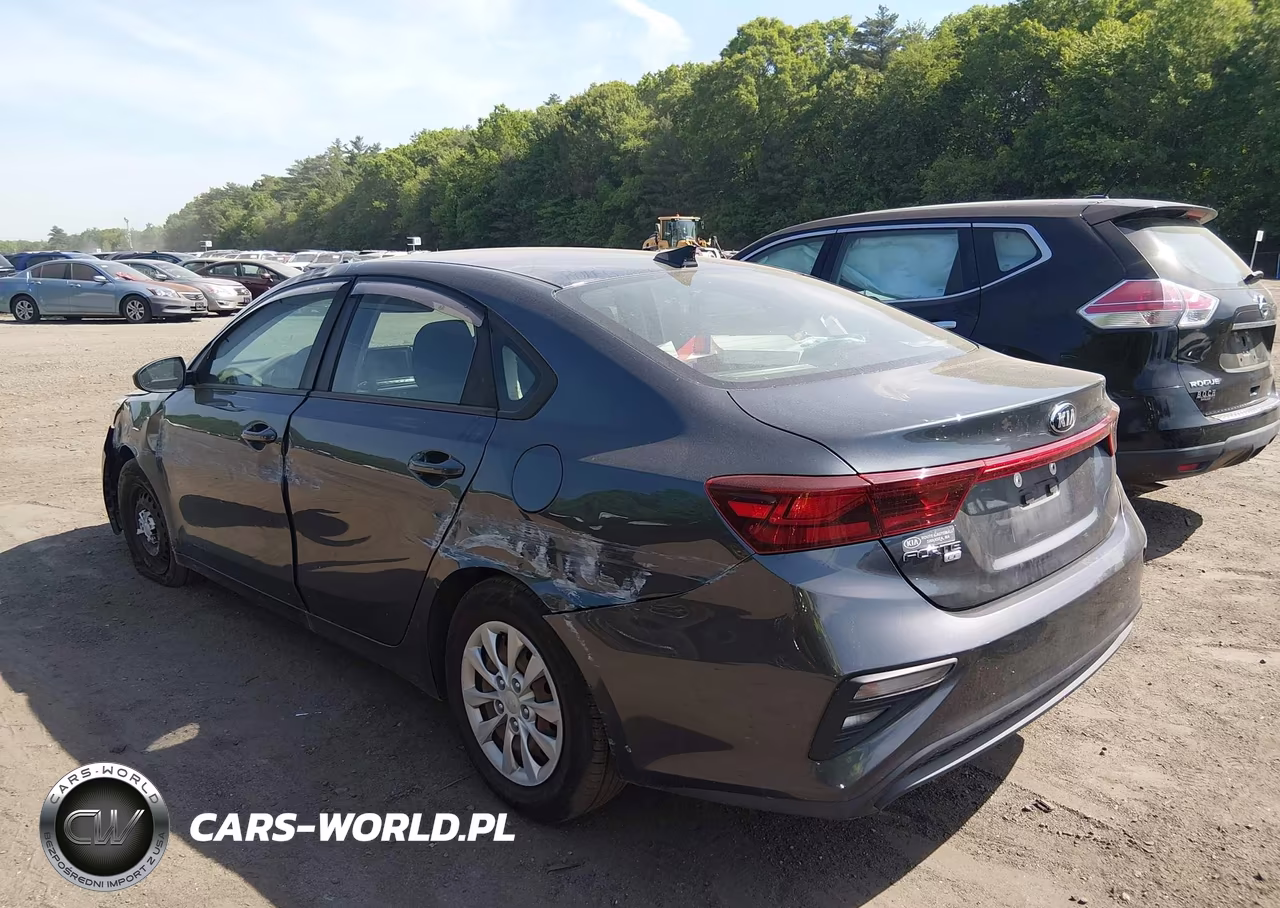 2019 Kia Forte Fe VIN:3KPF24AD7KE119784 - 3
