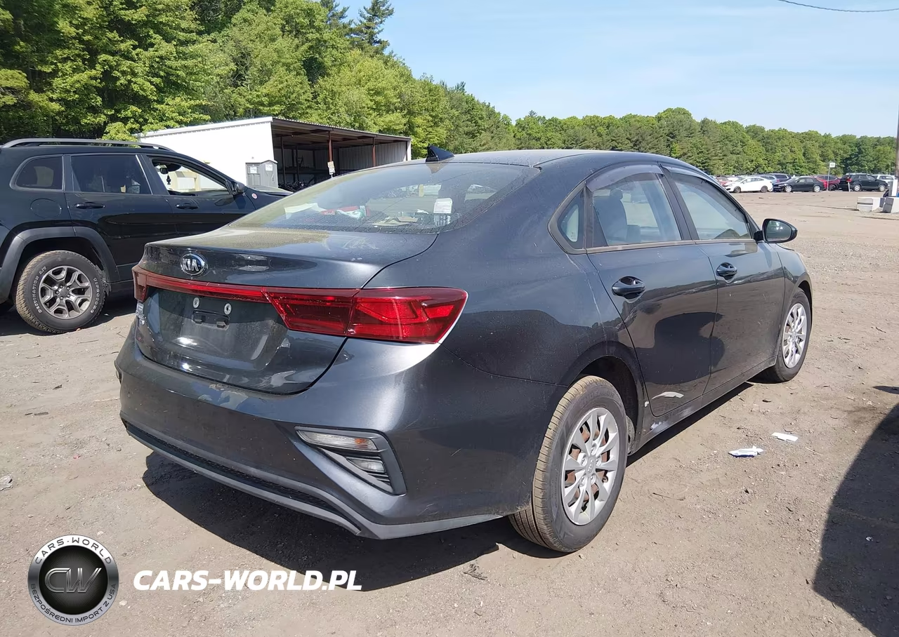 2019 Kia Forte Fe VIN:3KPF24AD7KE119784 - 4