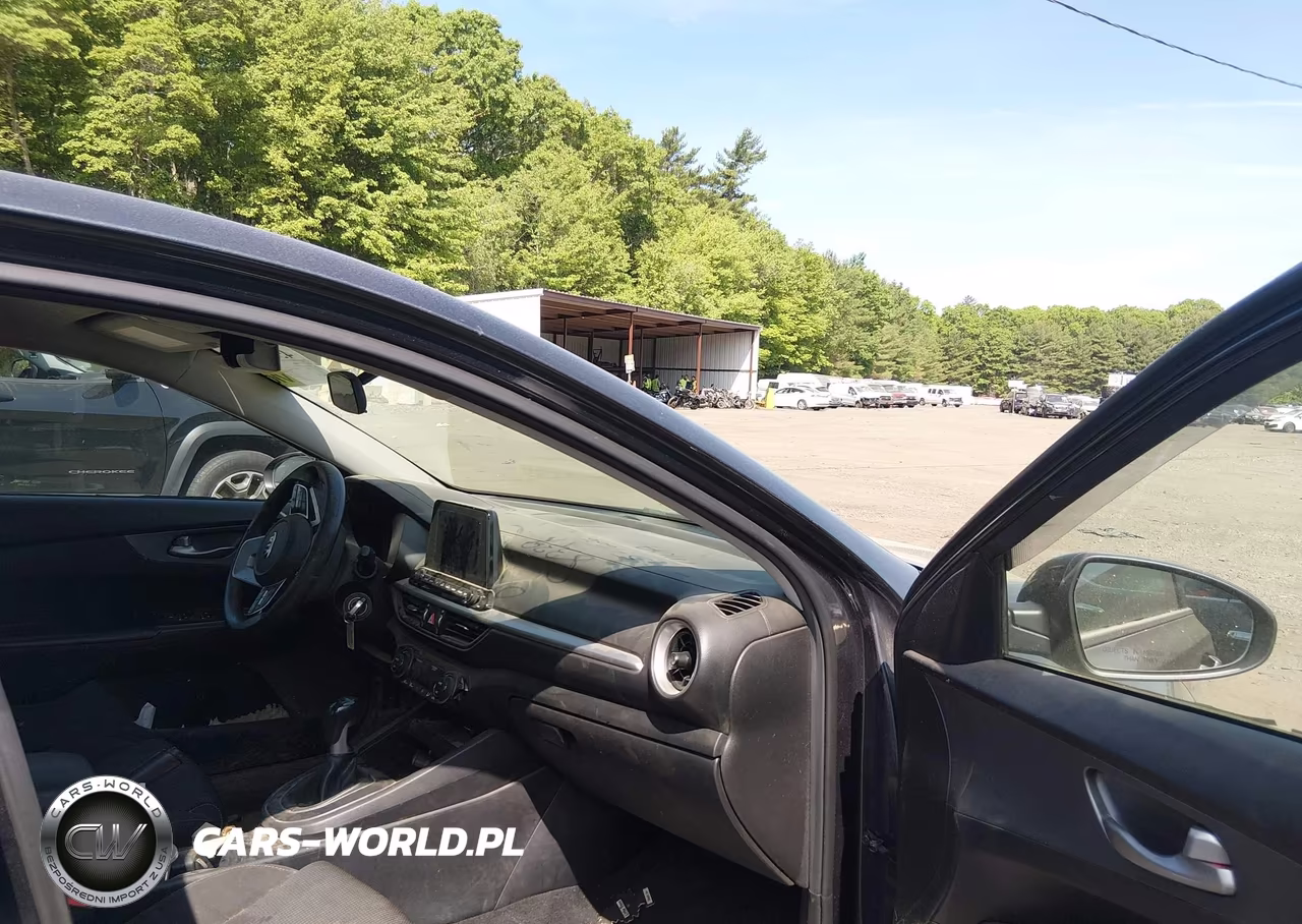 2019 Kia Forte Fe VIN:3KPF24AD7KE119784 - 5