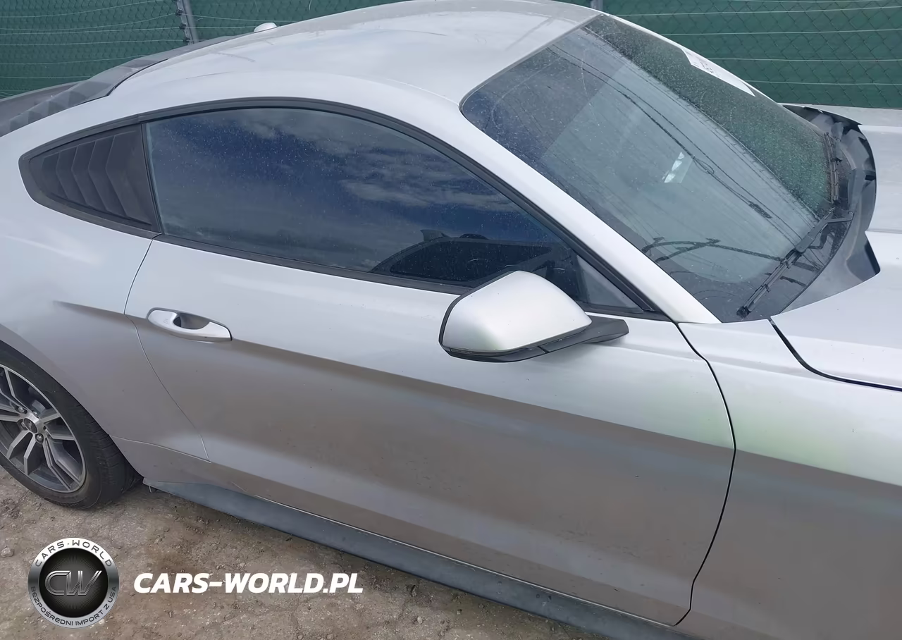 2016 Ford Mustang Ecoboost VIN:1FA6P8TH1G5257726 - 13