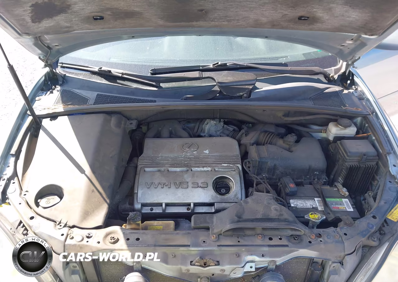 2004 Lexus Rx 330 VIN:2T2HA31UX4C034506 - 10