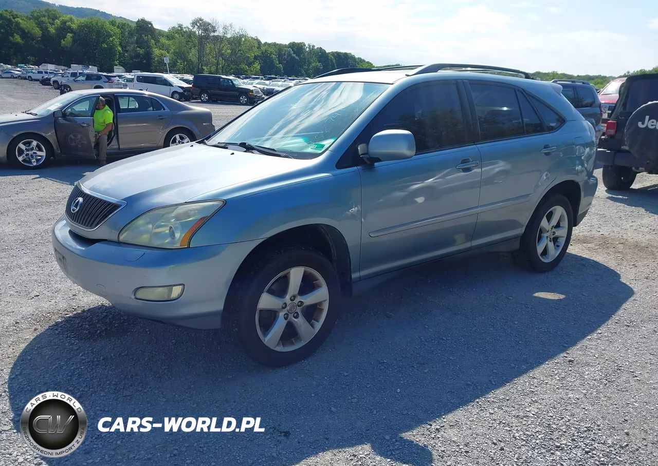 2004 Lexus Rx 330 VIN:2T2HA31UX4C034506 - 2