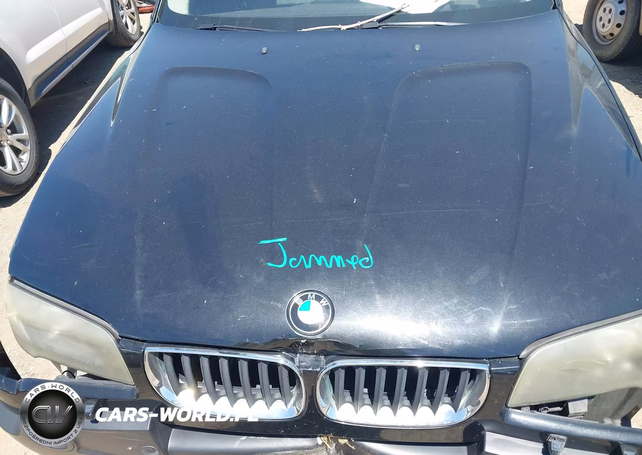 2005 BMW X3 3.0I VIN:WBXPA93405WD24557 - 10
