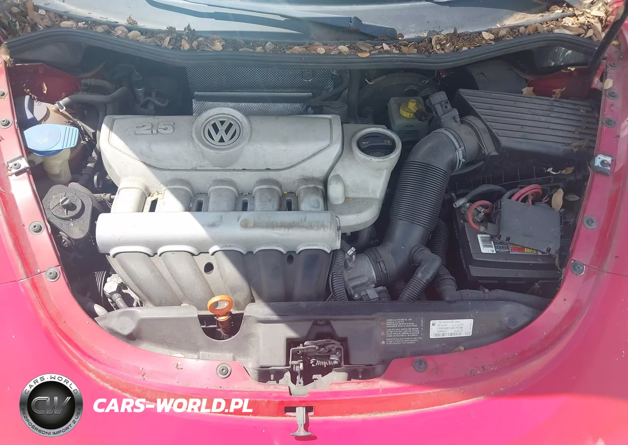 2008 Volkswagen New Beetle S VIN:3VWPF31Y68M403831 - 10