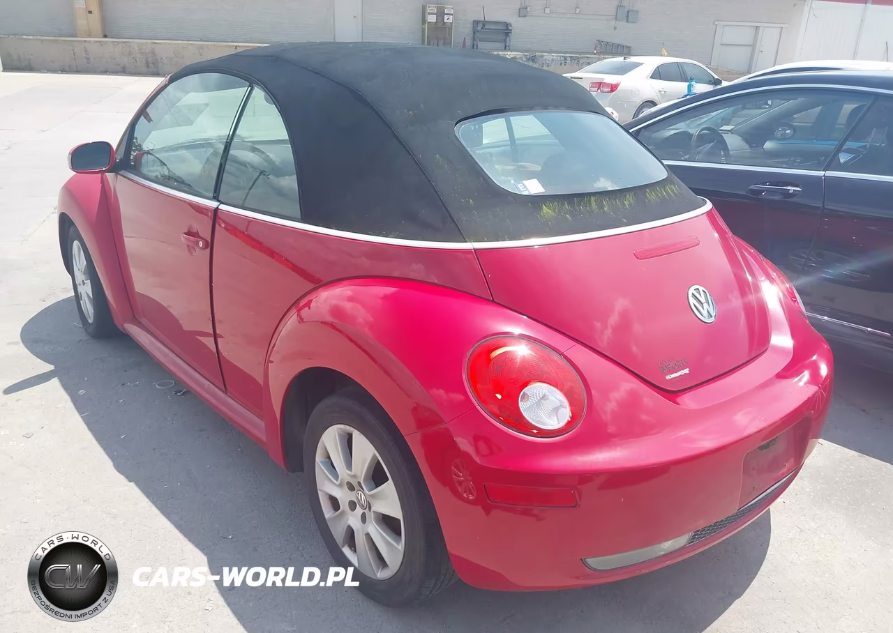 2008 Volkswagen New Beetle S VIN:3VWPF31Y68M403831 - 3