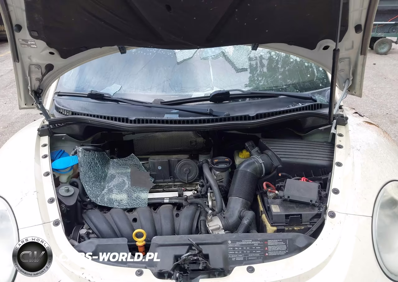 2010 Volkswagen New Beetle 2.5L VIN:3VWRG3AL7AM009951 - 10
