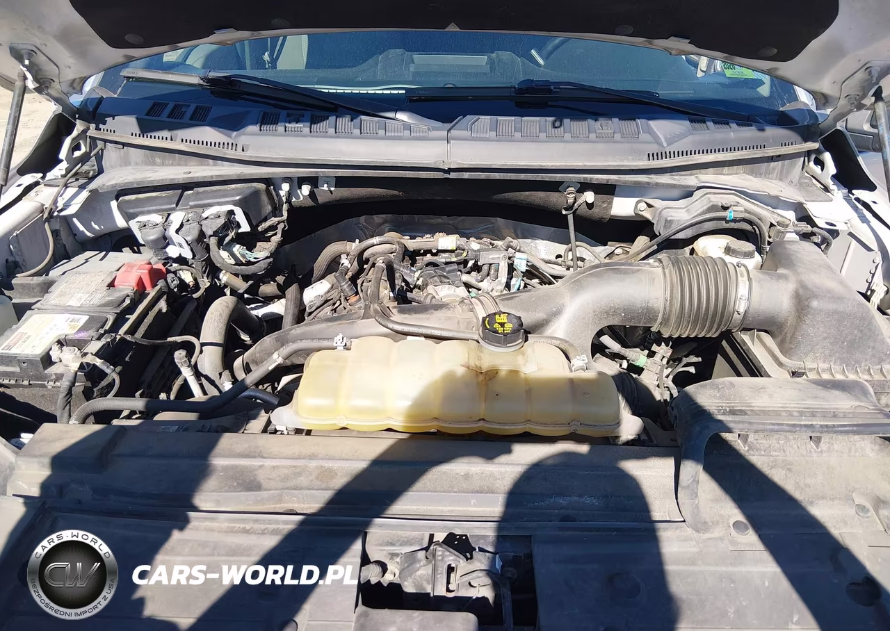 2019 Ford F-150 Xlt VIN:1FTEW1EP8KFD42862 - 10