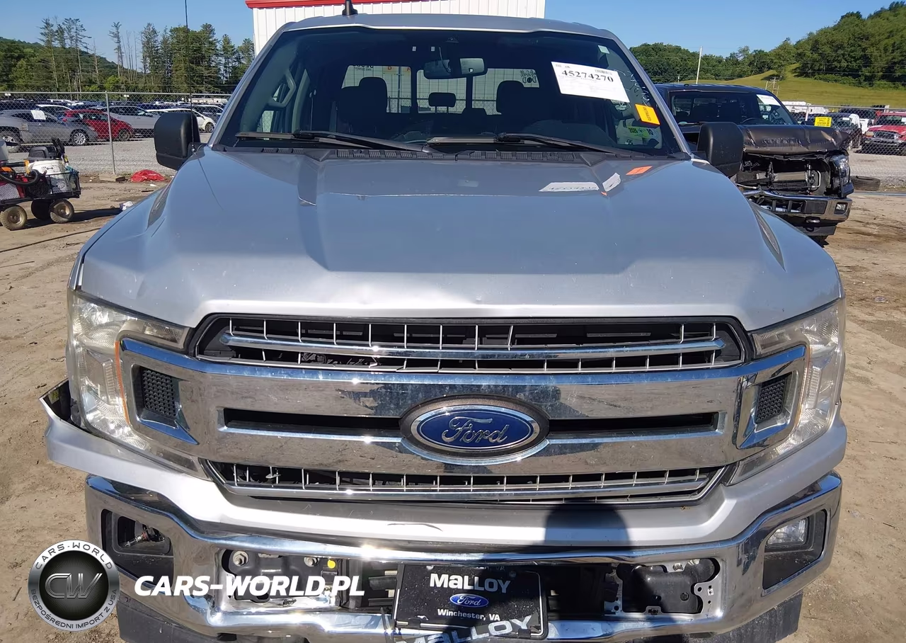 2019 Ford F-150 Xlt VIN:1FTEW1EP8KFD42862 - 12