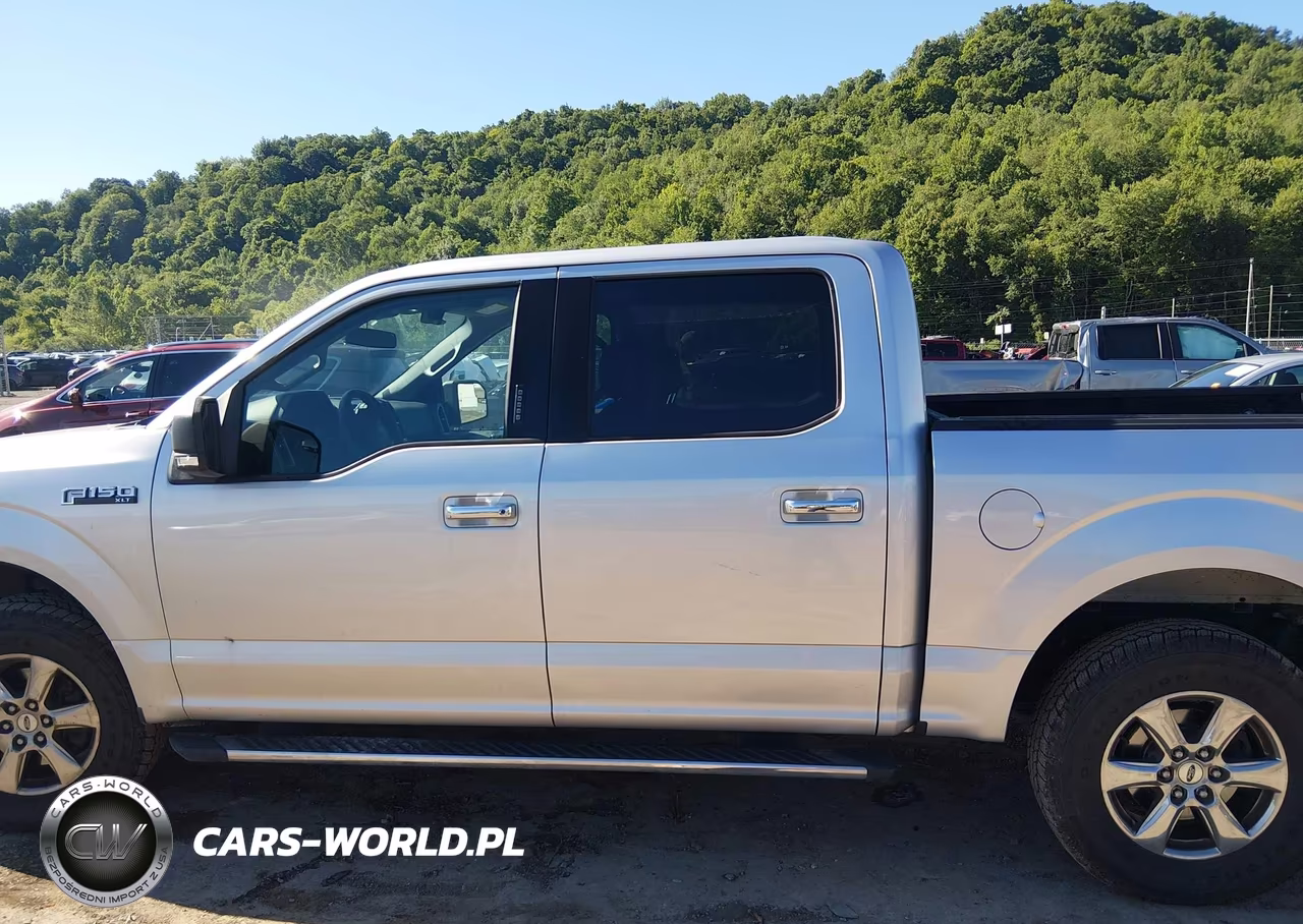 2019 Ford F-150 Xlt VIN:1FTEW1EP8KFD42862 - 14