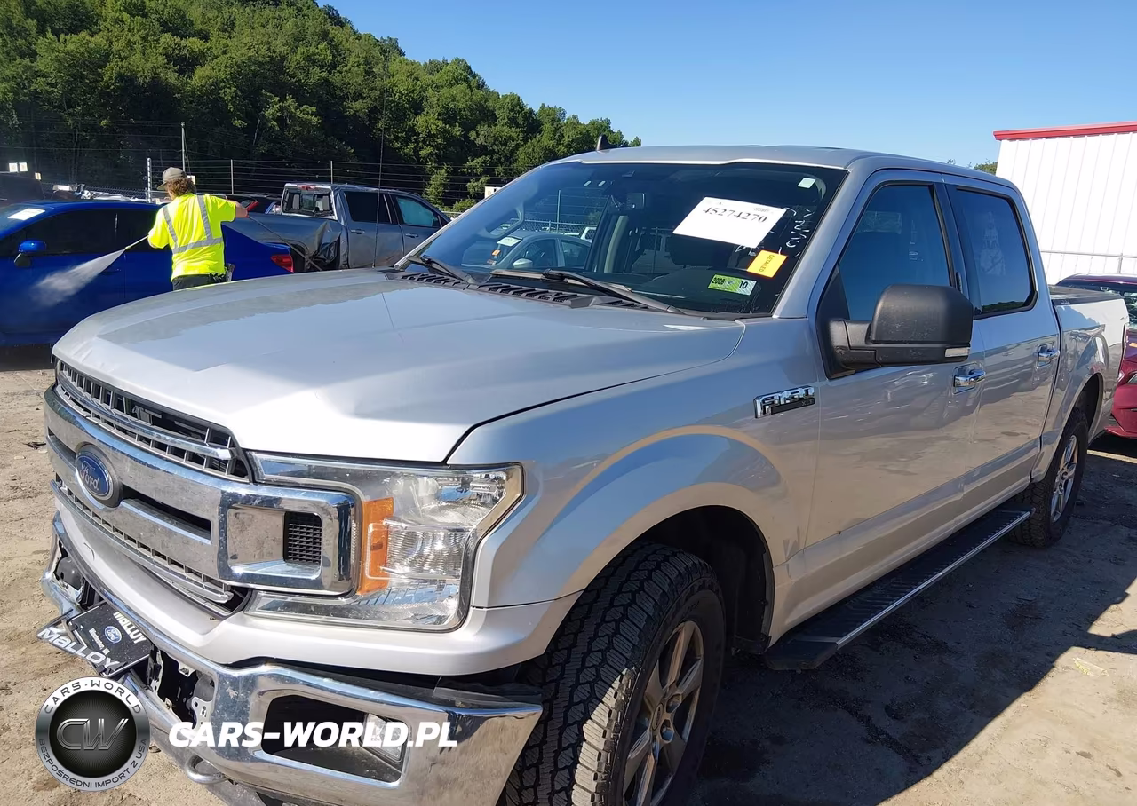 2019 Ford F-150 Xlt VIN:1FTEW1EP8KFD42862 - 2