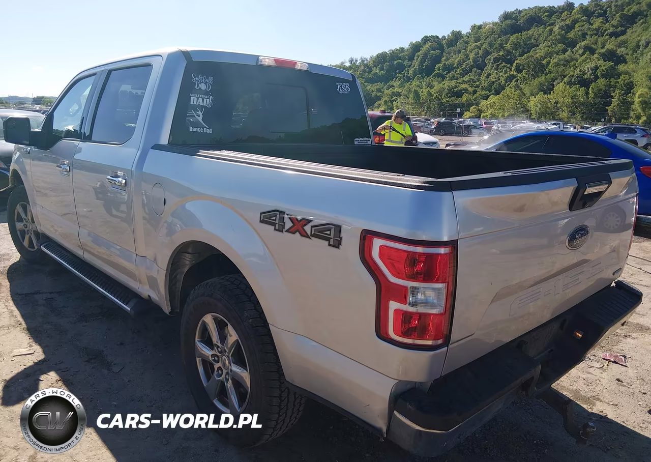 2019 Ford F-150 Xlt VIN:1FTEW1EP8KFD42862 - 3