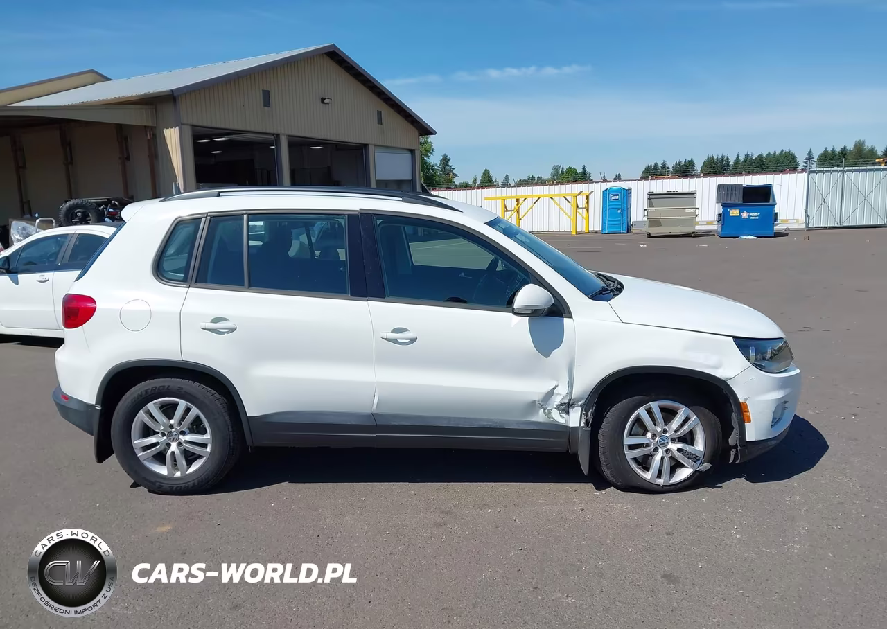 2015 Volkswagen Tiguan S VIN:WVGAV7AX1FW541473 - 13