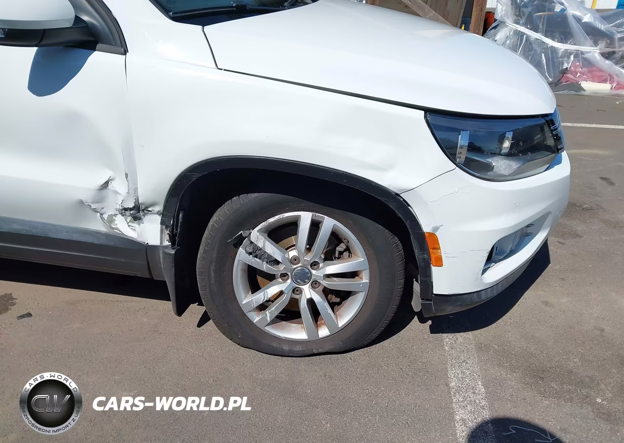 2015 Volkswagen Tiguan S VIN:WVGAV7AX1FW541473 - 6
