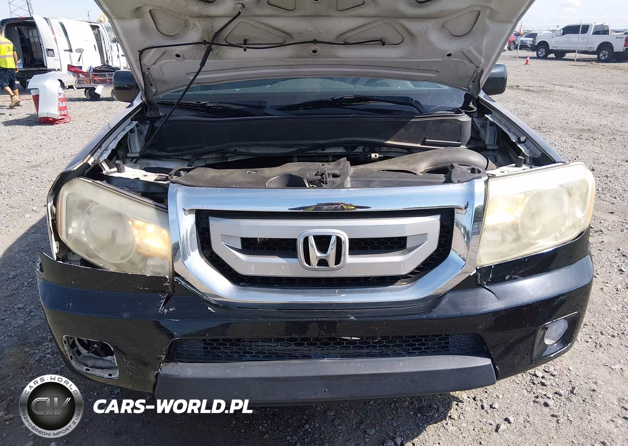 2010 Honda Pilot Ex-L VIN:5FNYF3H55AB002512 - 10