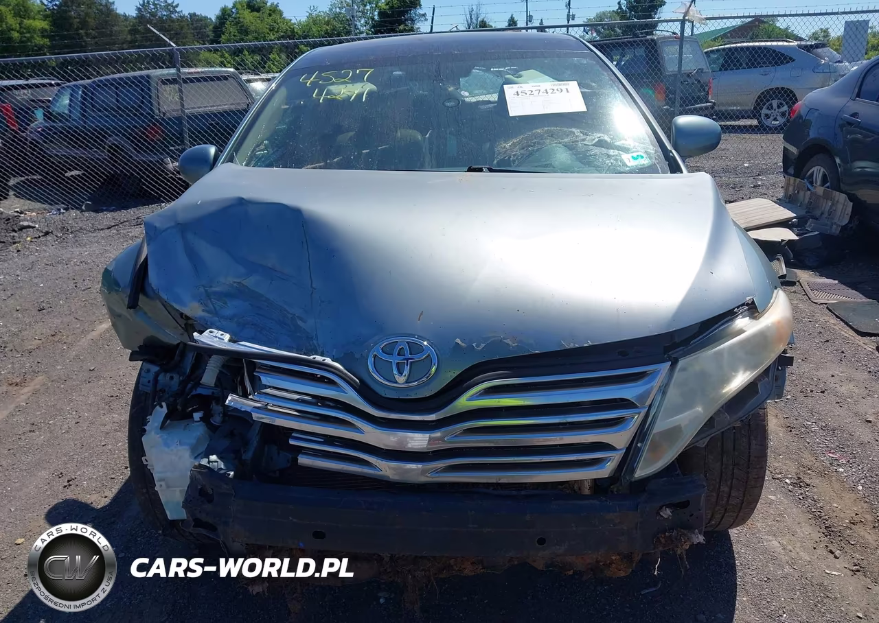 2010 Toyota Venza VIN:4T3BA3BB7AU009796 - 12
