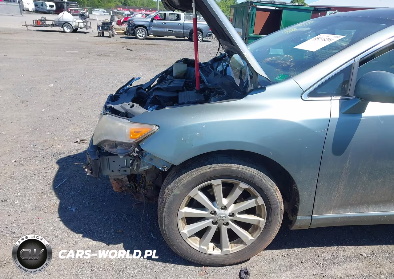 2010 Toyota Venza VIN:4T3BA3BB7AU009796 - 6