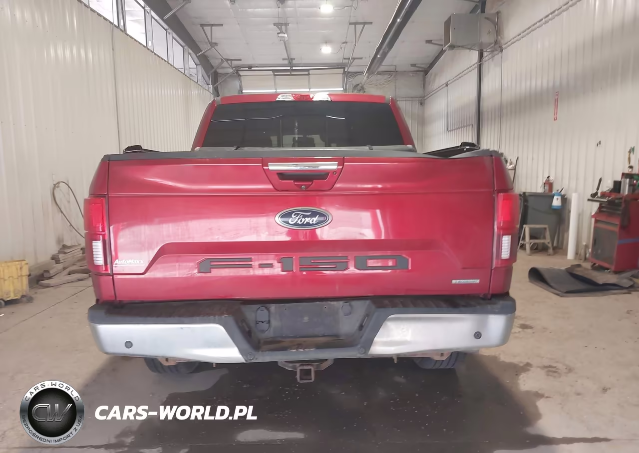 2019 Ford F-150 Lariat VIN:1FTEW1EP5KKE15452 - 17