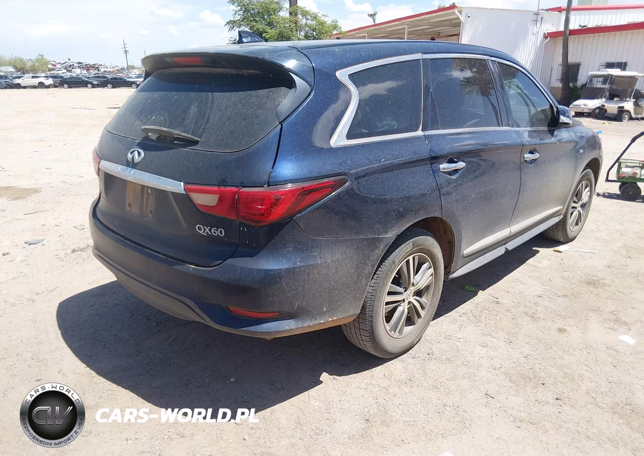 2020 Infiniti Qx60 Pure Awd VIN:5N1DL0MM7LC502217 - 4