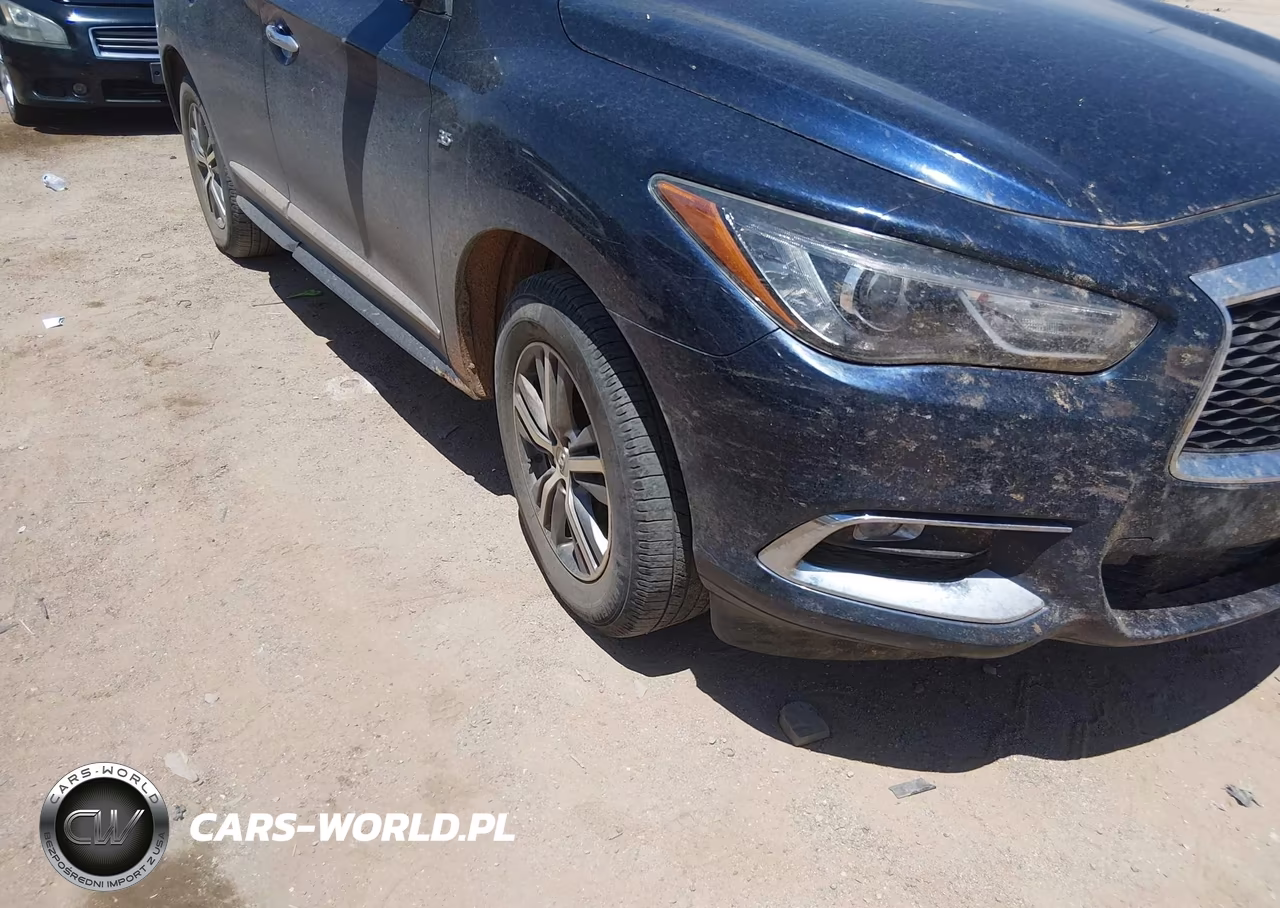 2020 Infiniti Qx60 Pure Awd VIN:5N1DL0MM7LC502217 - 6